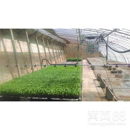 溫室大棚噴水施肥育苗噴灌機(jī)噴水車 技術(shù)解析與廠價(jià)直銷優(yōu)勢