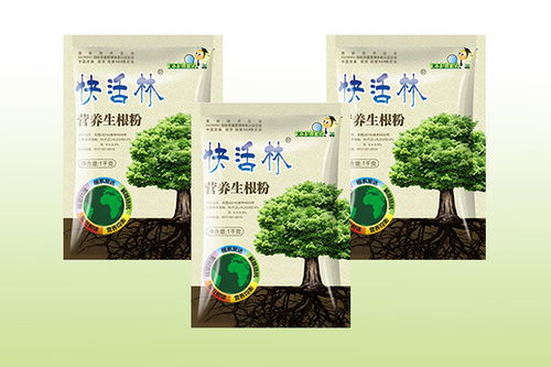 林木育苗中生根粉的科學用法與高效施用指南